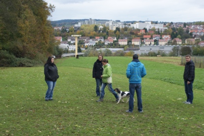 Tanzhund Mozart Begleithundeprfung